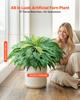 Artificial Ferns, 1219 Mm Fake Boston Fern Bush Plant with 67 Fronds, Faux Greenery for Indoor/Outdoor Decor, Silk & LDPE, Suitable for Home Porch