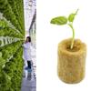 50PCS Hydroponic Substrate Rock Wool Plug Garden Sponge Nursery Block  Plant Propagation