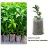 100 Seedling Pots - Non-Woven Fabric Planting Bags For Seed Sprouting, Home Gardening Supplies