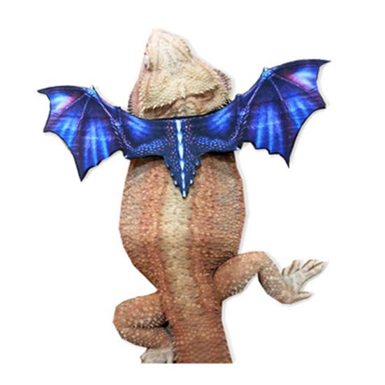 Lizard Leash Anti-Bite Wings Fleksibel Komfortabel skjeggete Drage Sele Kjæledyrsutstyr