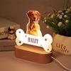 Custom Photo Acrylic Pet Growth Memory Night Light Pet Accompany Moments Personalized Bedroom Bedside Desktop Home Decor Gift
