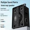 Newsmy N537 12-inch Portable KTV Bluetooth Speaker CN plug (adapter included)