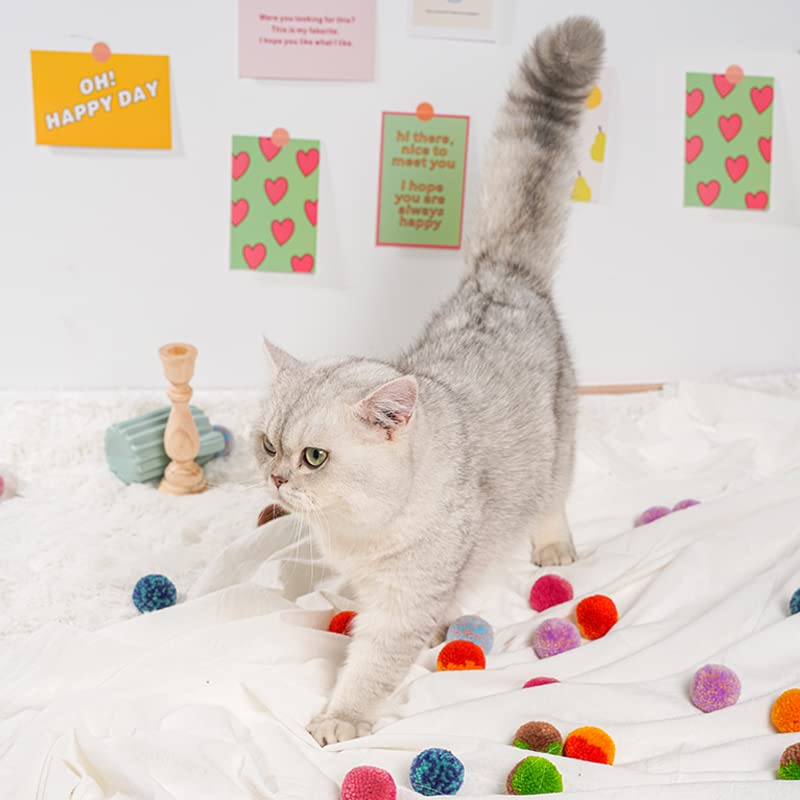 Forhomelife Cat Ball Toys, Felt Balls, Indoor Cat Toys, Rolling Balls, Pom-Pom Balls, Colored Bouncy Balls, Exercise Relief, Solitaire Play, Set of 6