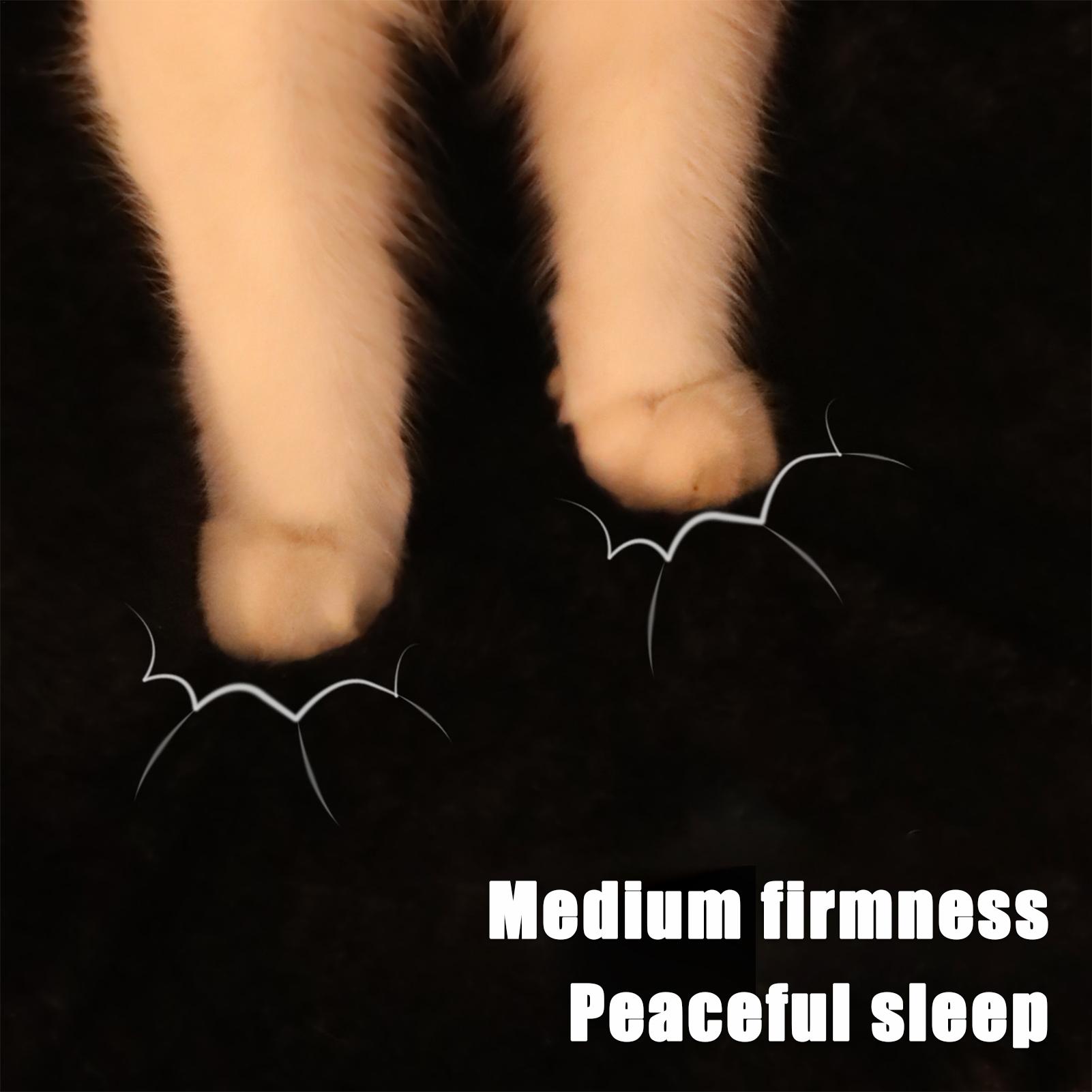 

Cat Beds For Indoor Removable Outer Cover Cat House Indoor For Puppy Kitten Home Winter Sleeping Rabbits Bedside Indoor Outdoor CN