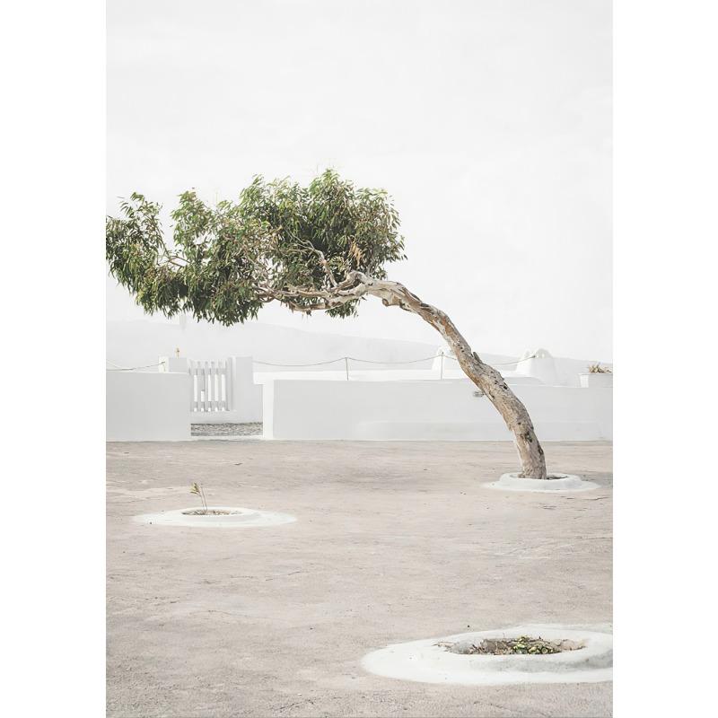 

Italian Town Lemon Orange Harvest Poster and Prints Home Garden Plants Canvas Painting Car Bike Interior Decor Picture Wall Art 21cm×30cm NoFrame