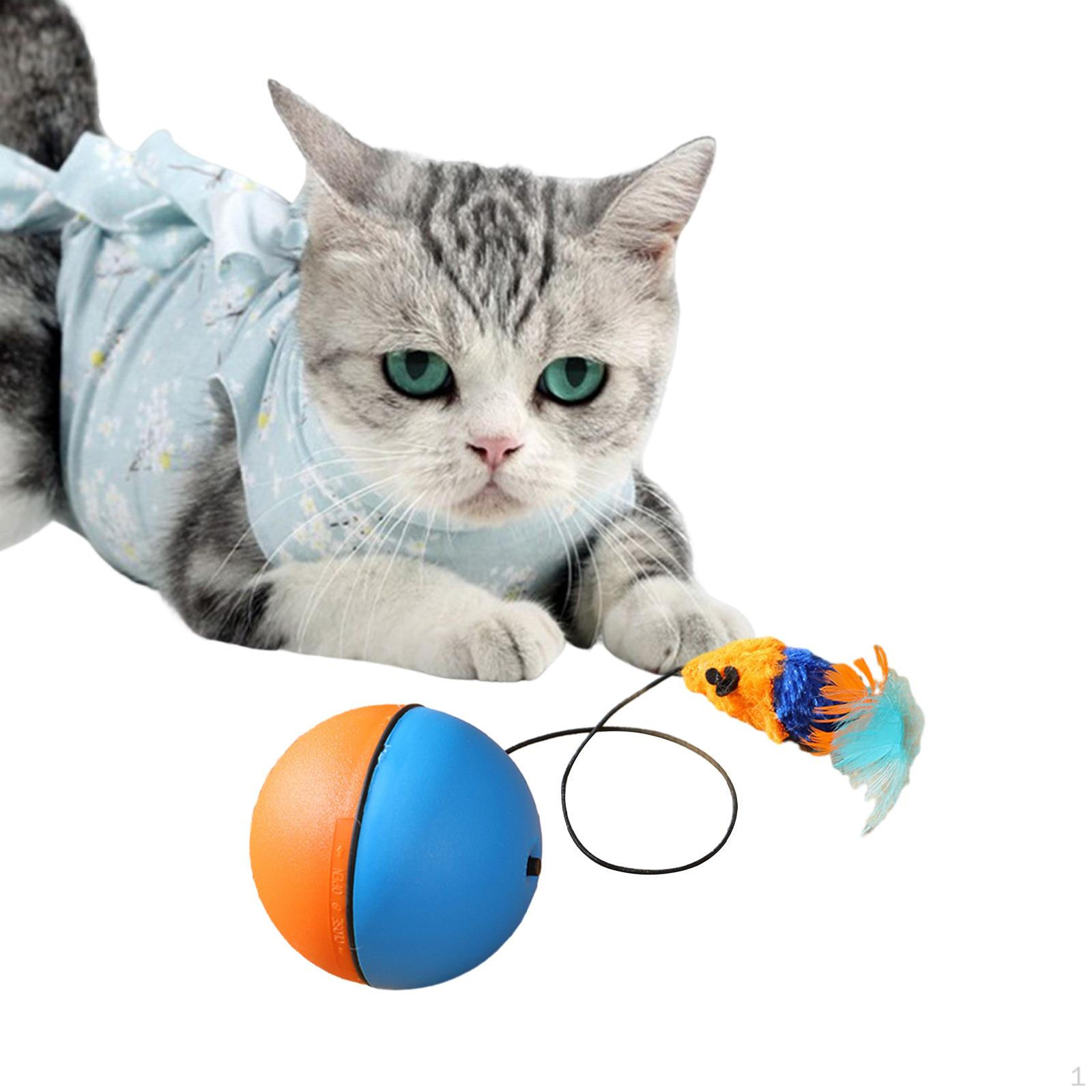 Ball Cat Toys Interactive Teaser Plush Mice Soft for Kitty blue and orange
