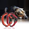 Strong Durable Dog Collar Dual D ring Nylon Length Adjustable Reflective Strips Comfortable Neck Pet Collars for Large