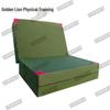 Golden Lion Fitness & Gymnastics Mat