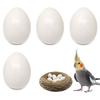 PAVIKE Fake Bird Set of for Fake Chicken Pigeon Breeding Artificial Egg Food Fake Dummy Eggs for and Parakeets Eggs, Toys, 4, Parakeets, Eggs,