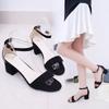 Sandals Summer Thick Heel Open-toed Round Head One-word Buckle Strap Roman Shoes High Heels Simple