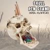 Queen-b Skull Pen Stand, Desk Organizer, Decorative Skull, Realistic Skeleton, Skull, Stylish Ornament (White)