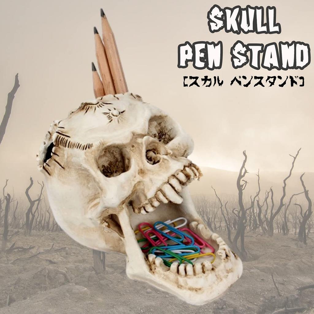 Queen-b Skull Pen Stand, Desk Organizer, Decorative Skull, Realistic Skeleton, Skull, Stylish Ornament (White)