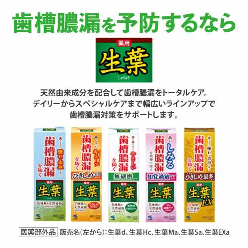Shoyo EX (Shoyo EX) Medicated Toothpaste to Prevent Periodontal Disease, Herb Mint Flavor, 100g