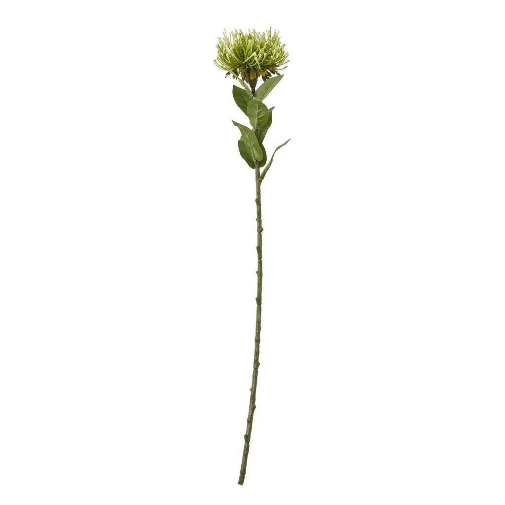 Hill Interiors Protea Lorea Stem Artificial Plant