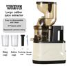 300W Electric Fruit Juicer Fruit Extractor Blender Slow Chewing Cold Press Juicer High Power Household Slow Juicer
