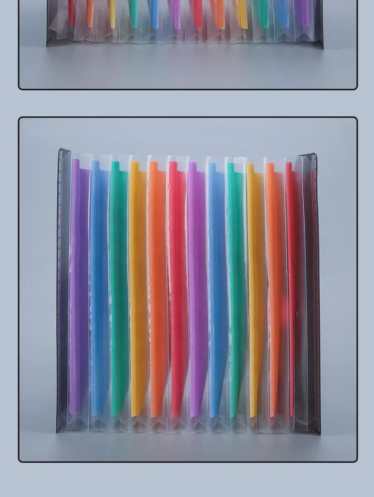 Vertical Accordion Bag with Rainbow Inner Pages - Large Capacity Portable Office Folder