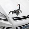 Hochwertige 3D Autoaufkleber mit coolen Spinnenmotiven für eine einzigartige Dekoration