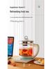Hemisphere Health Multifunctional Automatic Glass Tea & Water Kettle - High Temperature Resistant, Thickened for Tea & Medicine Boiling.