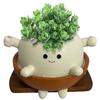 Swing Face Planter Pot Swinging Plant Pot Smiling Outdoor Plants Succulent Pot Cute Smile Face for String of Pearls Succulents