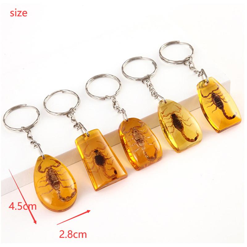 

1 шт. Образец насекомого Янтарь Брелок Подвеска Маленький подарок Ключ от машины Сумка Брелок Подвесное украшение Детали для сумочки