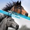 With Tassels Fly Protector Mask Breathable Mesh Horse Fly Cover Equine Mask  Outdoor Grazing