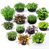 2 Bucăți Negru Acvariu Apă Iarbă Plantare Cultivare Substrat Protejare Rădăcină Plantă Acvatică Acvariu Ornament Decorativ Bază