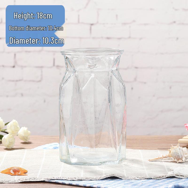 Modern European Glass Vase for Fresh or Dried Flowers - Hydroponic Desktop Ornament