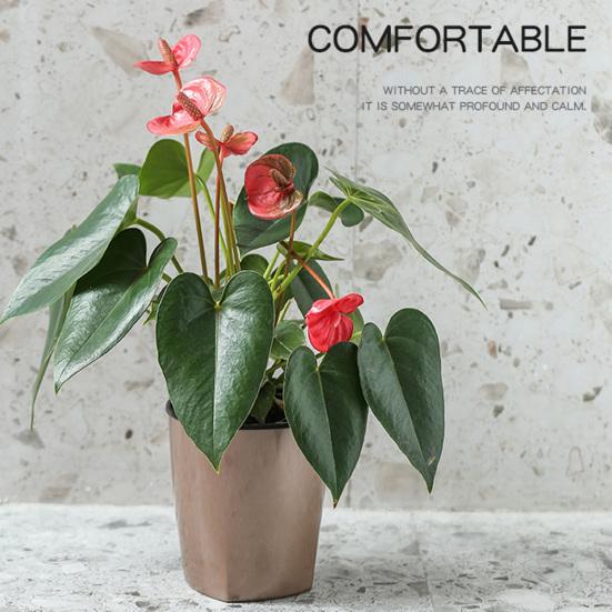 Flower Pot Good Toughness Self Watering Plastic Anti-wet Large Planter Household Supplies