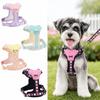 Dog Harness and Leash Set for Small Medium Dogs, Lightweight Breathable Mesh Puppy Harness, Adjustable Soft Pet Vest for Walking