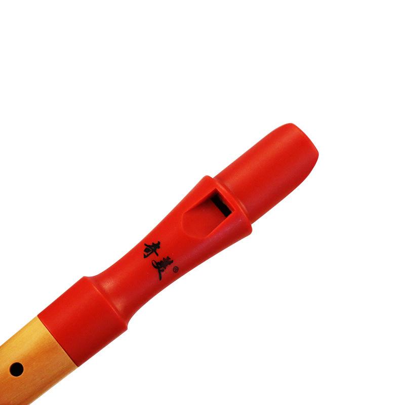 German-Style 8-Hole Treble and Alto Recorder for Beginners and Students