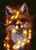 Painting by Numbers for Adults, Christmas Gift, DIY Fox
