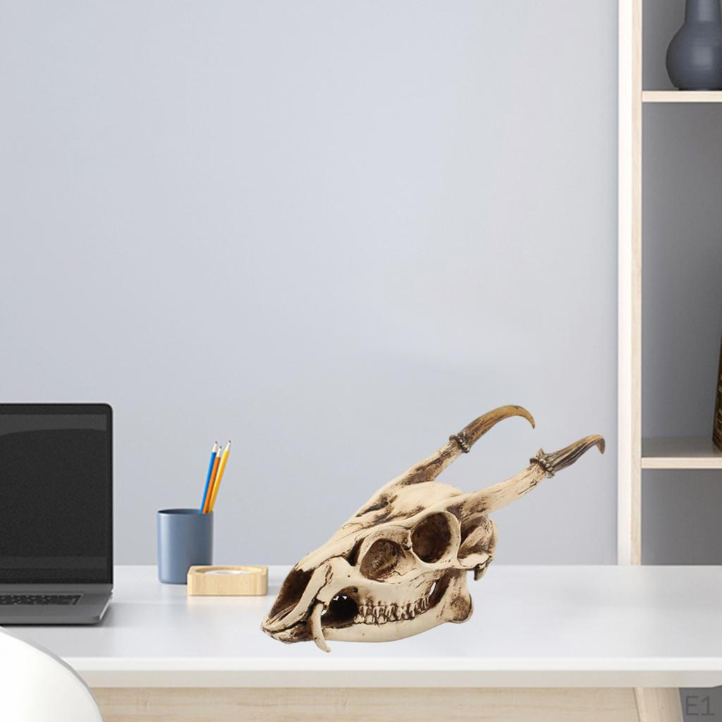 Skull Head Sculpture Model Resin Animal Vintage Style Creative Figurines Viking Gothic for Party,