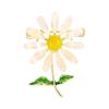 Broches en lichaamssieraden