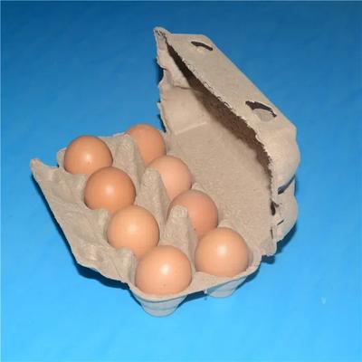 Gıda Kapları – Yumurta kapları