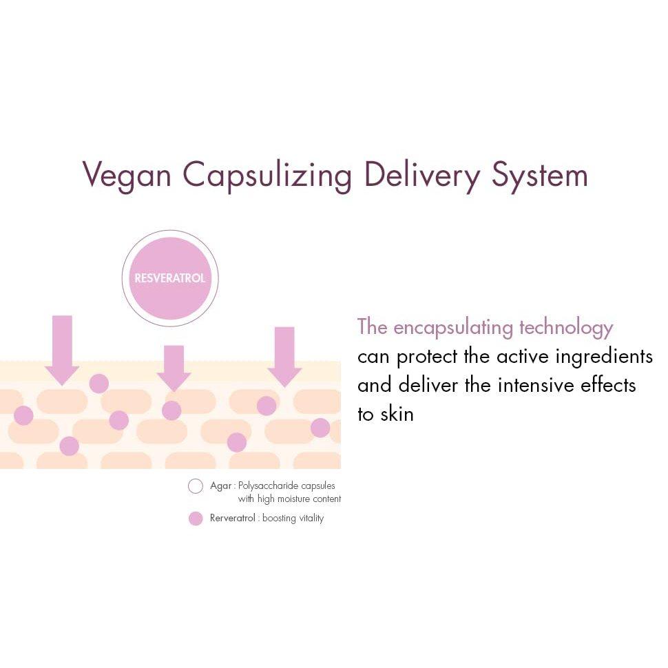 DR.CEURACLE Vegan Active Berry Lifting Cream 75g