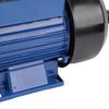 Bewässerungspumpe 230W 1,5m³/H Durchfluss 1 Zoll Auslass Leise 3200 U/min 25m Förderhöhe für Landwirtschaft