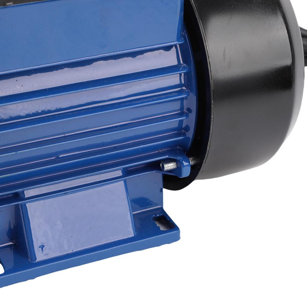 Bewässerungspumpe 230W 1,5m³/H Durchfluss 1 Zoll Auslass Leise 3200 U/min 25m Förderhöhe für Landwirtschaft