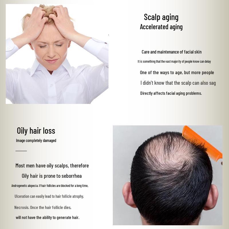 Ginger & Polygonum Multiflorum Moisturizing Shampoo with Camellia Seed for Repair & Nourishment