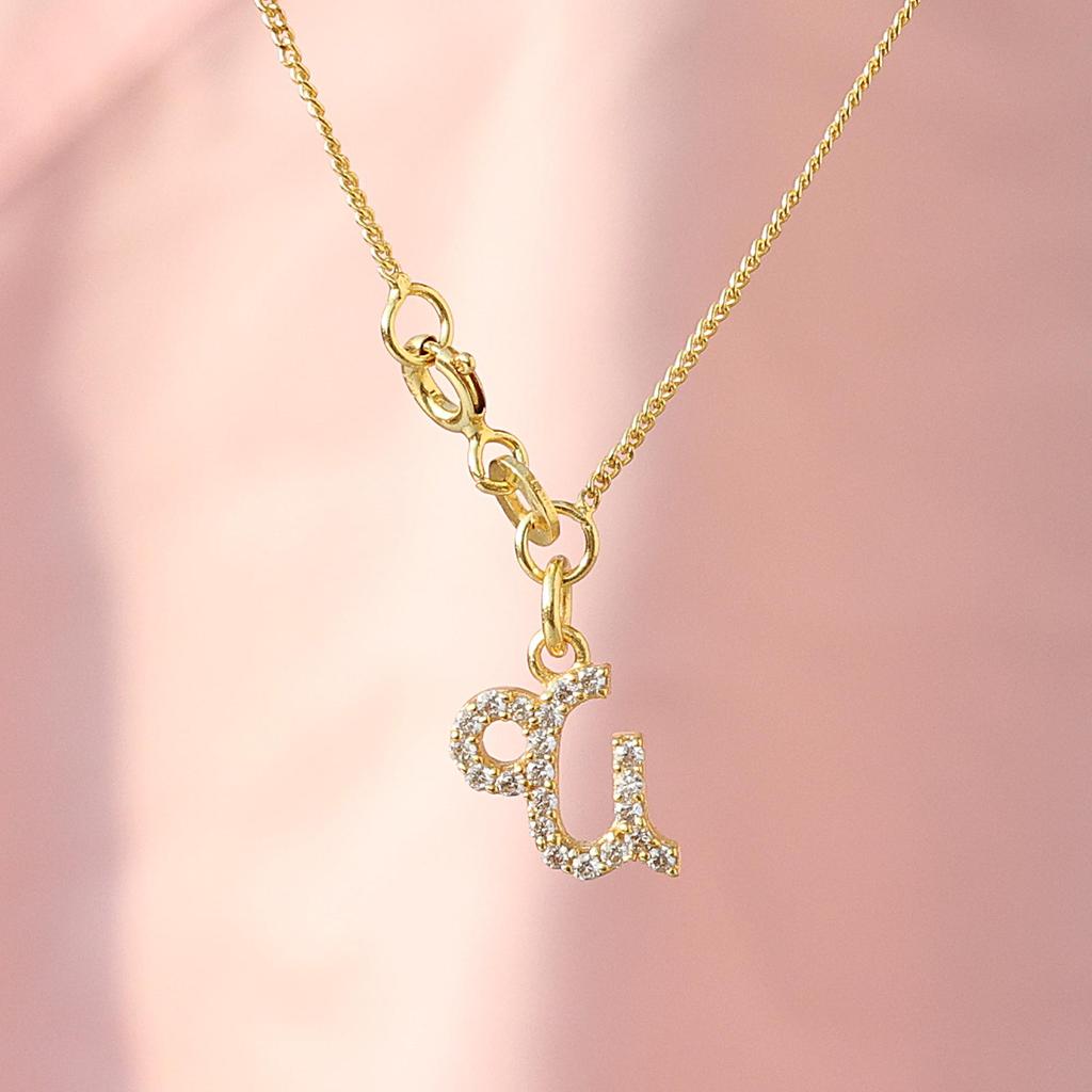 Capricorn Zodiac Sign Necklace, 925 Sterling Silver Handmade Jewelry, Zodiac Jewelry, Unisex Jewelry, Astrological Jewelry