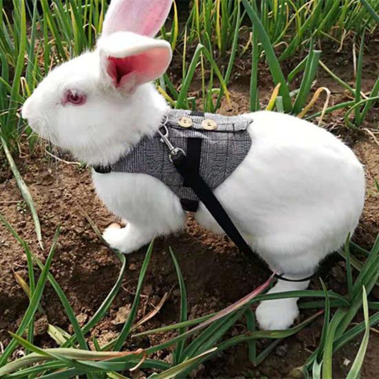 Rabbit Harness Gentleman Fabric Pet Vest Design Leashes Walking Safety Chest Strap