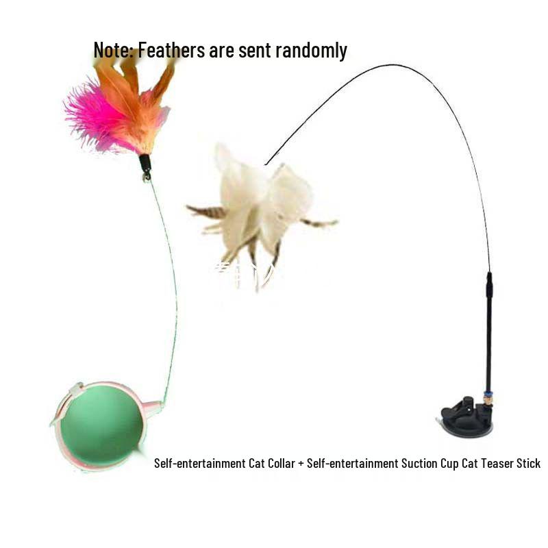 Interactive Feather Cat Teaser with Bell & Collar