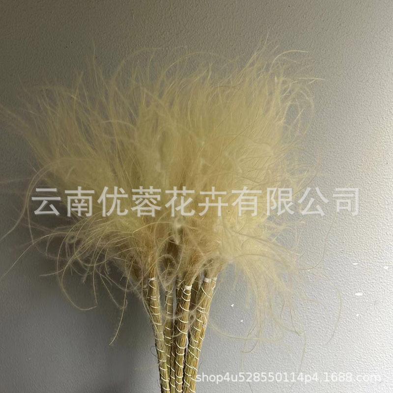Long Pole Feather Grass Dried Flower Fluff Grass Needle Grass, Fresh And Smart Soft Decoration High-End Flower Diy Dried Flower Bouquet