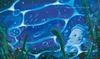 Water Sings Book by Mado (Picture Michio)