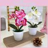 Flower Botanical Phalaenopsis Props For Bridal Events And Decor Party