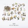 40pcs/bag Vintage Ginkgo Leaves Flowers PET Sticker Package DIY Diary Decoration Sticker Album Scrapbooking