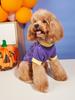 Dog Halloween Shirt Pet Printed T Shirt Cat Costume Spider Ghost Devil Monster Pet Halloween Clothes Halloween Costume Dog Shirt