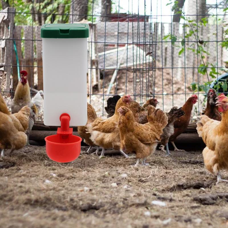 1000ml Rabbit Water Bottle with Red Water Bowl Poultry Chick Auto Automatic Drinker for Chicken Duck