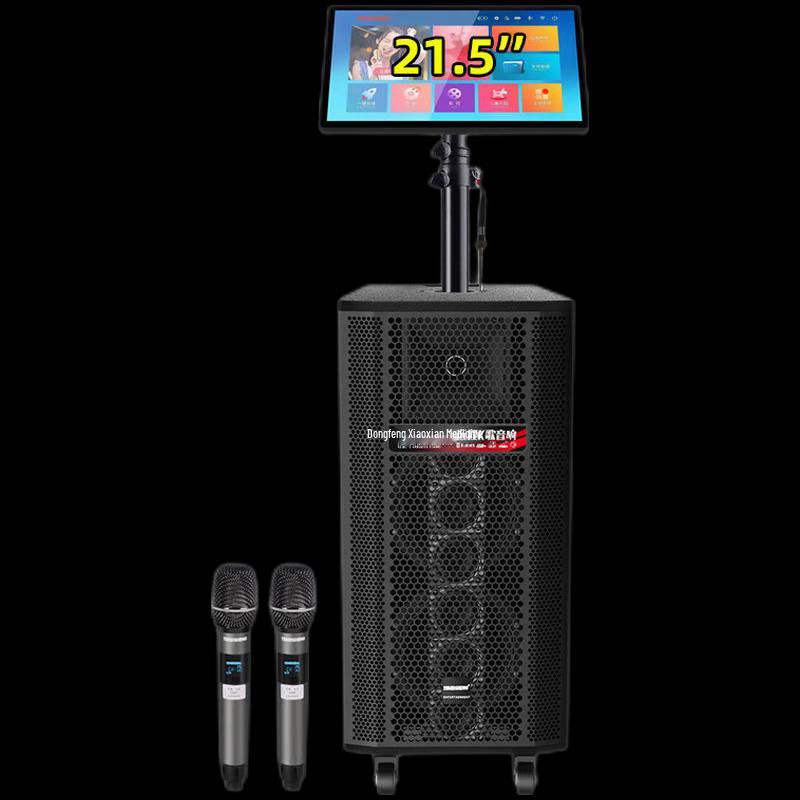 TEMEISHENG GD208-82 Portable KTV & PA Speaker CN plug (adapter included) (CN version)