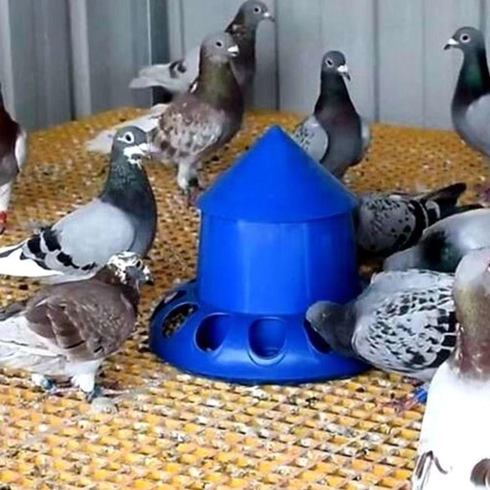 1Pcs New 11 Holes Poultry Pigeon Feeder Plastic 25x23cm Chicken Automatic Feeder Bird Feeding Bucket for Chicken Pigeon Budgies