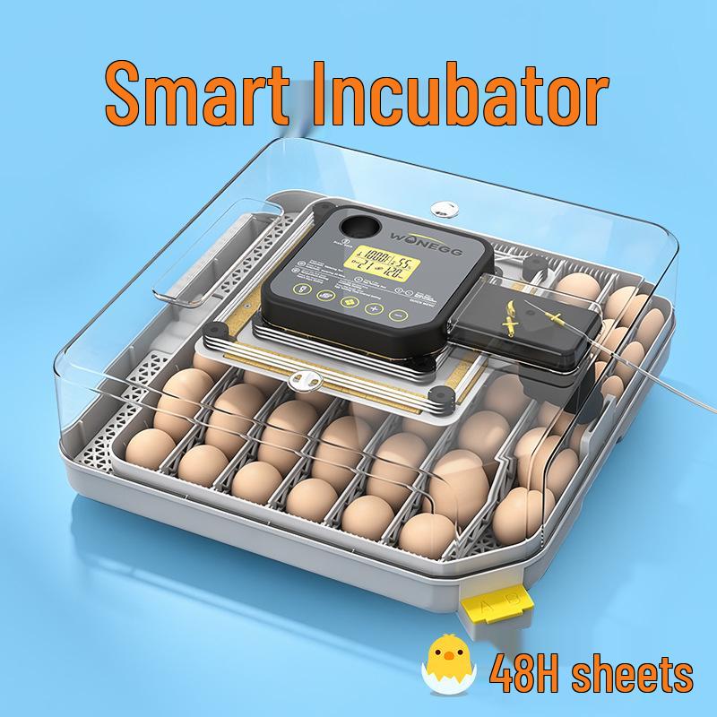 Smart Mini Egg Incubator for Parrots and Budgies: Automatic Pet Hatchery Equipment